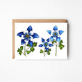 Load image into Gallery viewer, Columbine Blank Boxed Note Cards