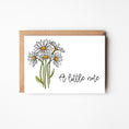 Load image into Gallery viewer, Daisies Little Note Boxed Notecards