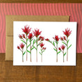 Load image into Gallery viewer, Desert Paintbrush Blank Boxed Notecards