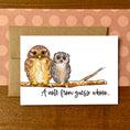 Load image into Gallery viewer, Owls Guess Whoo Boxed Note Cards