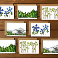 Load image into Gallery viewer, The Colorado Pack Blank Variety Pack Note Cards