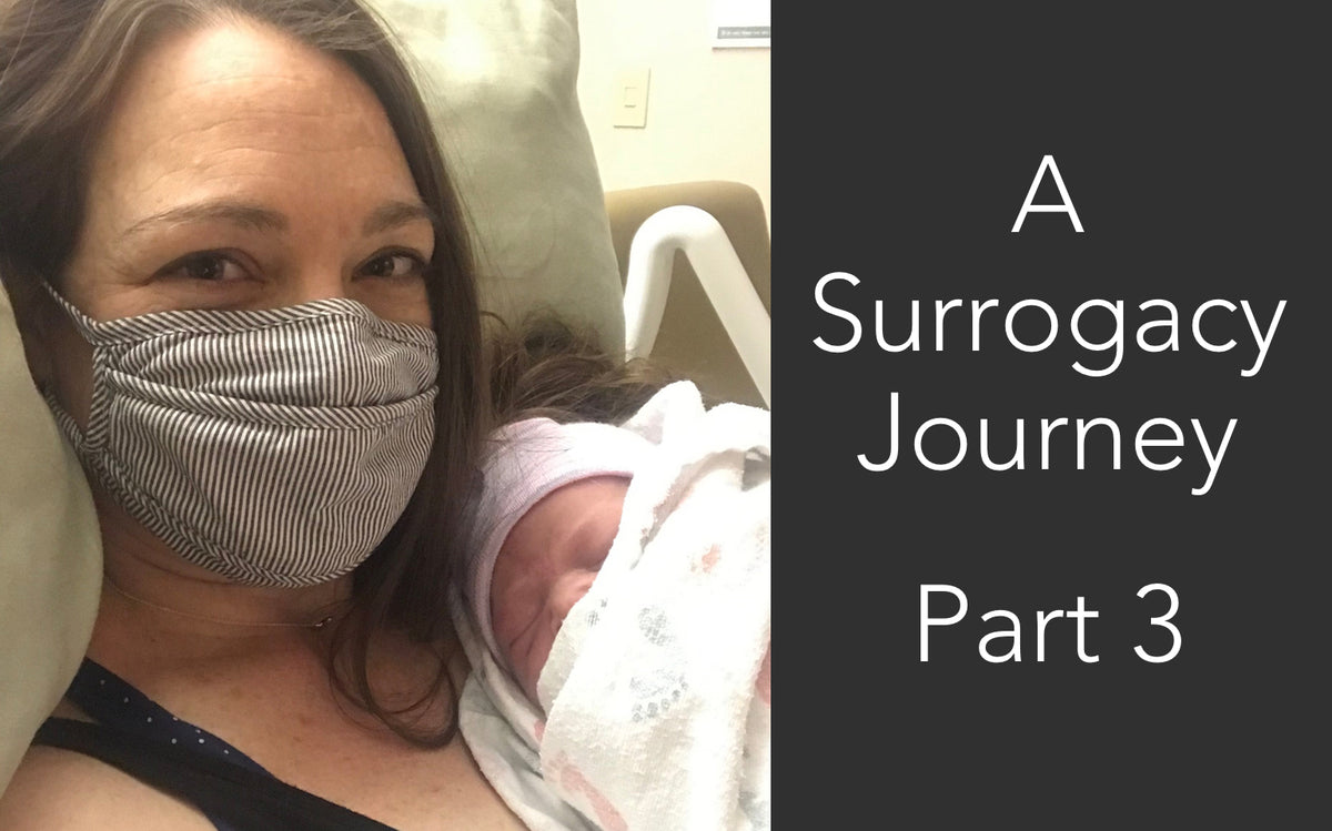 A Surrogacy Journey - Part 3 - Whimsicals Paperie