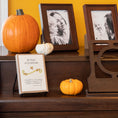 Load image into Gallery viewer, 30 Days of Gratitude Deck With Display Stand
