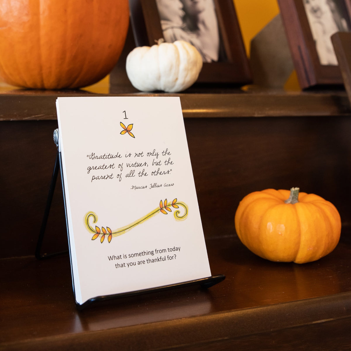 30 Days of Gratitude Deck With Display Stand