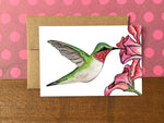 Hummingbird Stationery Bundle | Note Cards + Notepad