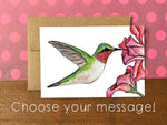 Hummingbird Notecards | Choose Your Message - Boxed Set of 8