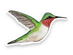 Hummingbird Vinyl Sticker