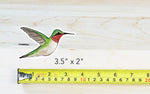 Hummingbird Vinyl Sticker