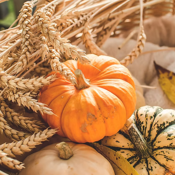 Mollie McGee's Fall Craft Market