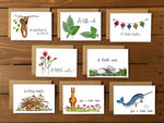 Assorted Just Because Cards - Boxed Set of 8