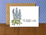 Bluebonnet Notecards | Choose Your Message - Boxed Set of 8