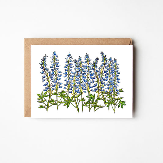 Bluebonnet Lupine Blank Boxed Note Cards