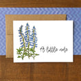 Load image into Gallery viewer, Bluebonnet Lupine Little Note Boxed Note Cards
