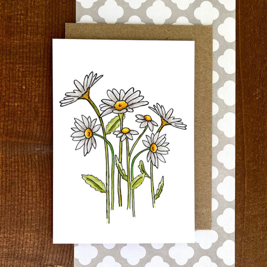 Daisies Blank Boxed Notecards