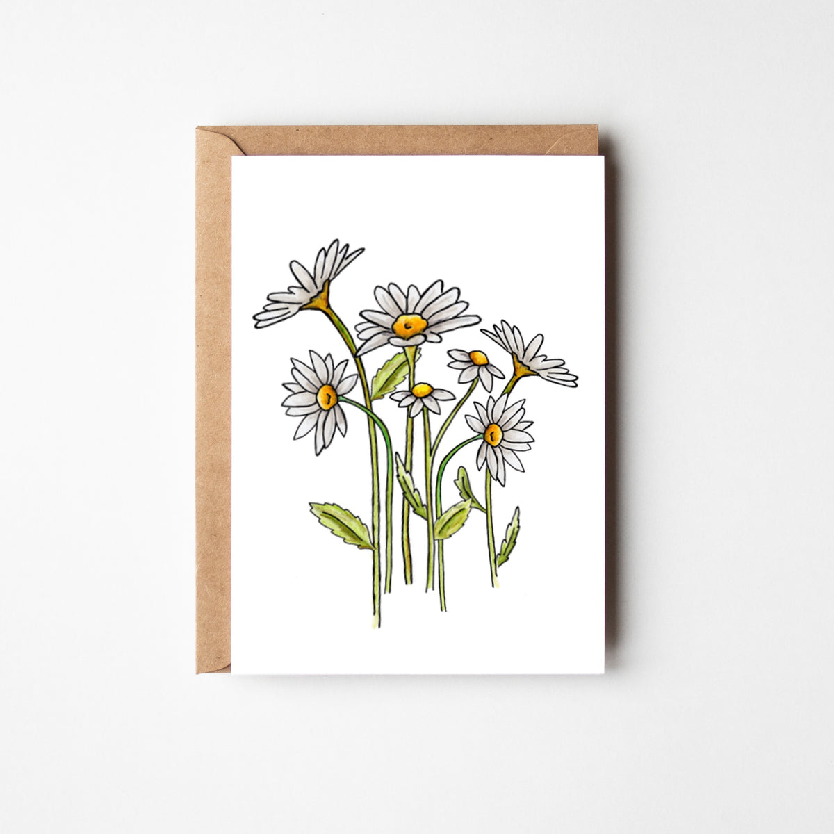 Daisies Blank Boxed Notecards