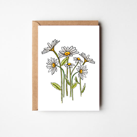 Daisies Blank Boxed Notecards