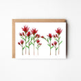 Load image into Gallery viewer, Desert Paintbrush Blank Boxed Notecards
