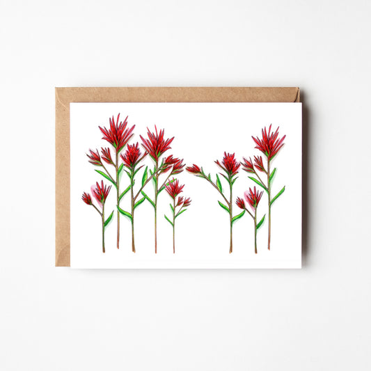 Desert Paintbrush Blank Boxed Notecards