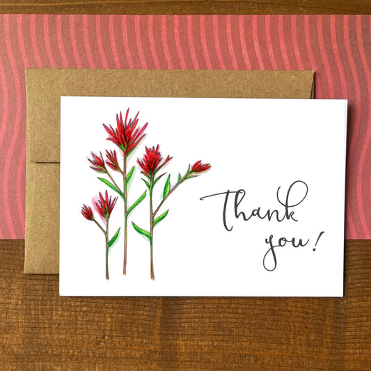 Desert Paintbrush Thank You Boxed Notecards
