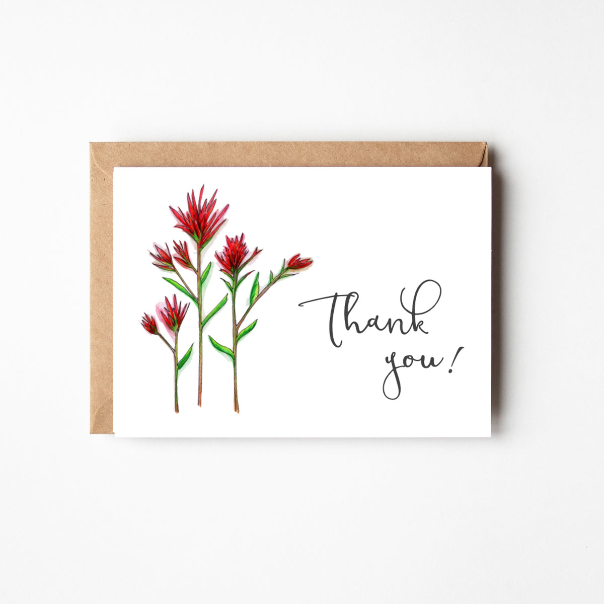 Desert Paintbrush Thank You Boxed Notecards