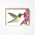 Load image into Gallery viewer, Hummingbird Blank Boxed Note Cards
