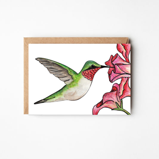 Hummingbird Blank Boxed Note Cards