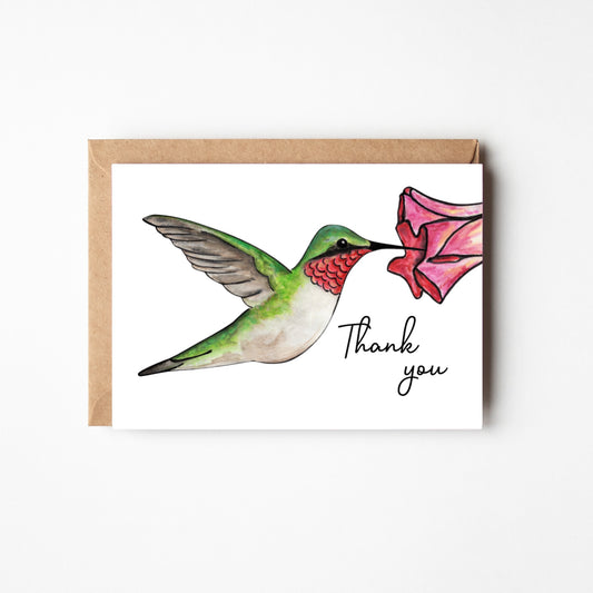 Hummingbird Thank You Boxed Note Cards