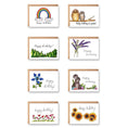 Load image into Gallery viewer, Birthday Cheer Variety Boxed Note Cards
