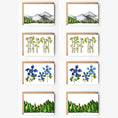 Load image into Gallery viewer, The Colorado Pack Blank Variety Pack Note Cards
