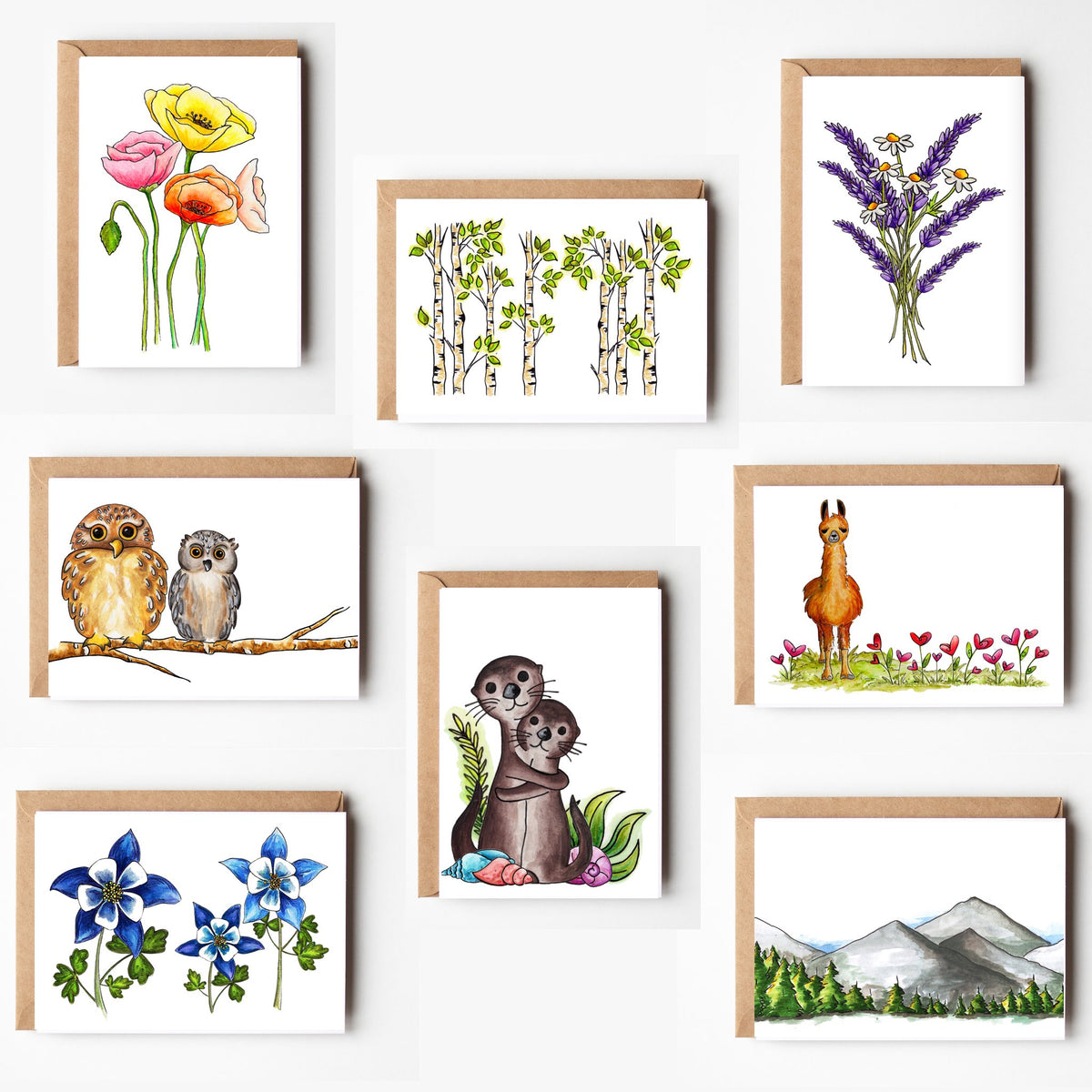 Fan Favorites Blank Variety Boxed Note Cards