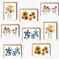 Load image into Gallery viewer, Flowers Blank Variety Boxed Note Cards
