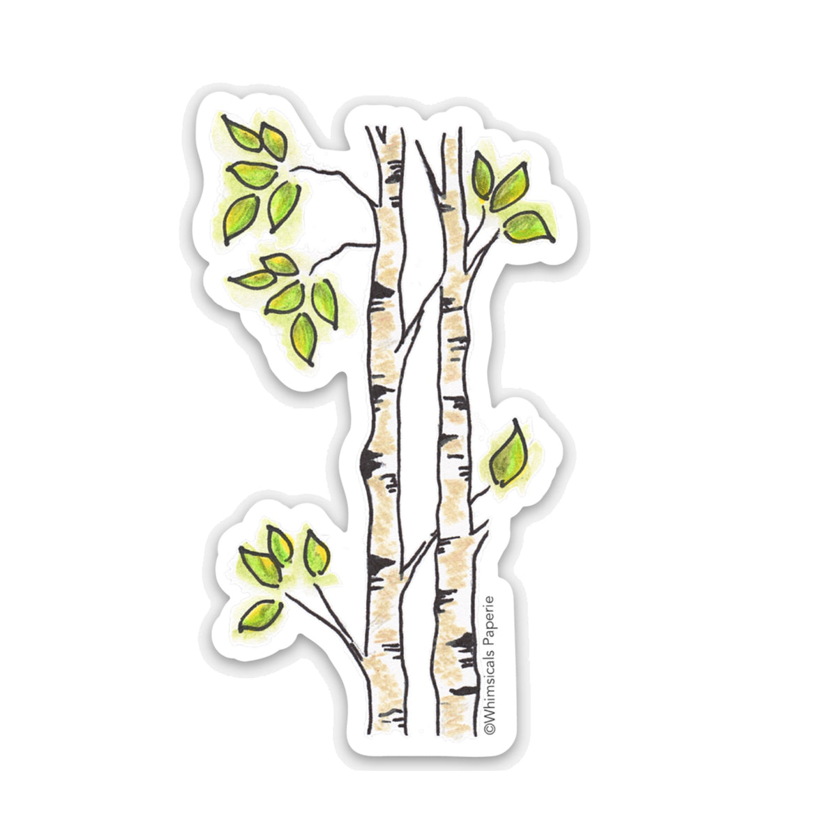 Aspen Tree Vinyl Sticker
