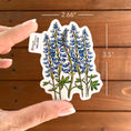 Load image into Gallery viewer, Bluebonnet Lupine Vinyl Sticker
