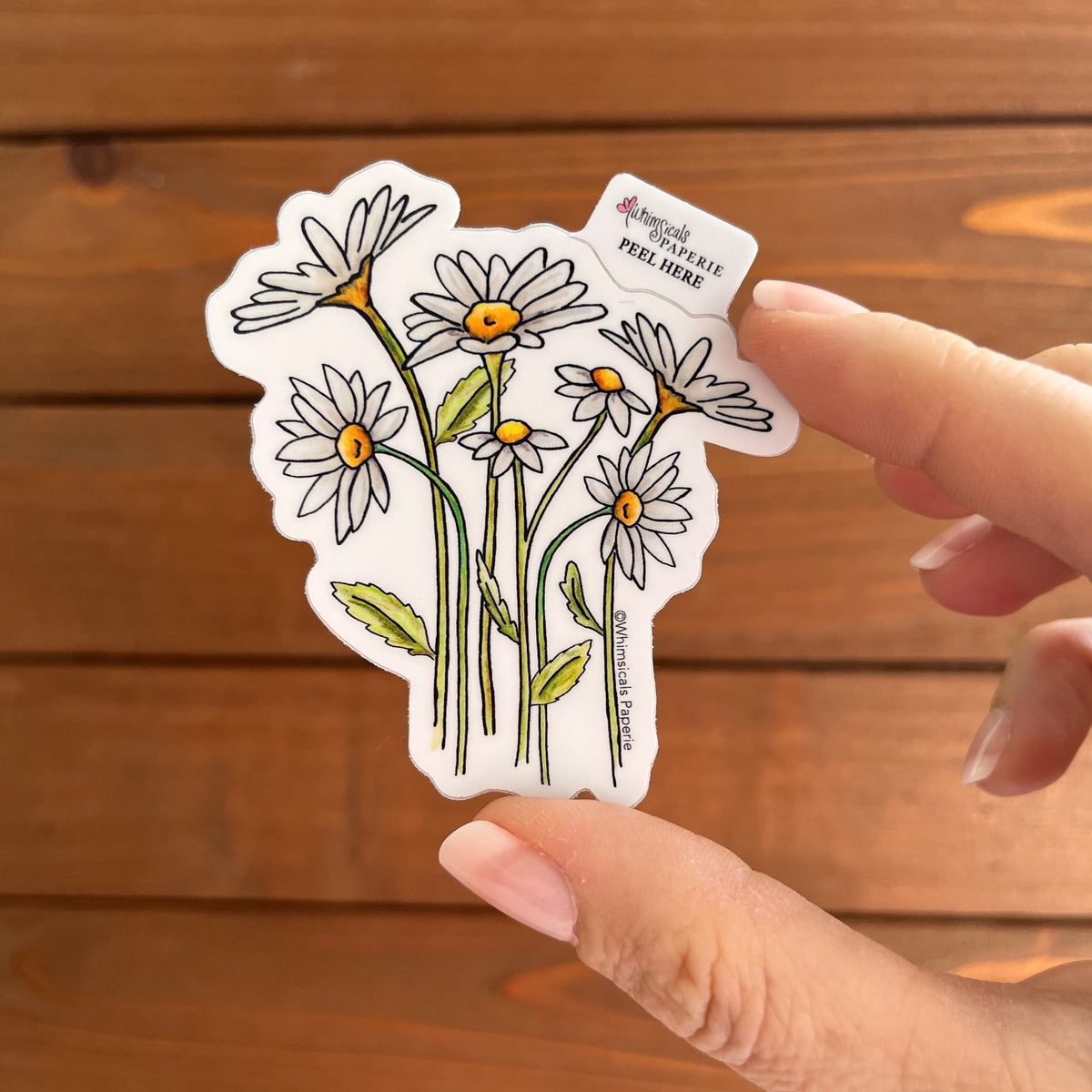Daisies Vinyl Sticker