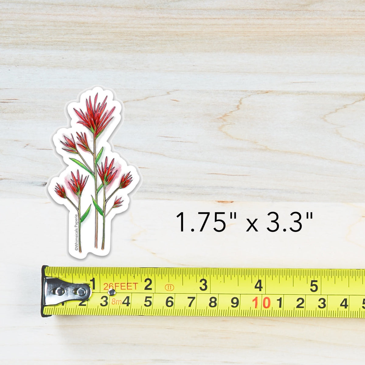 Desert Paintbrush Vinyl Sticker
