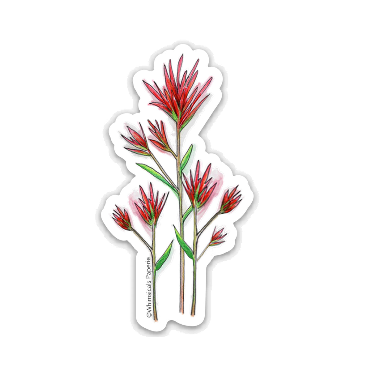Desert Paintbrush Vinyl Sticker