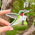 Load image into Gallery viewer, Hummingbird Vinyl Sticker
