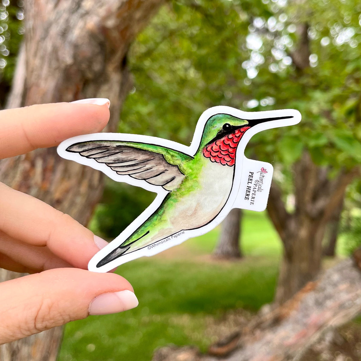 Hummingbird Vinyl Sticker