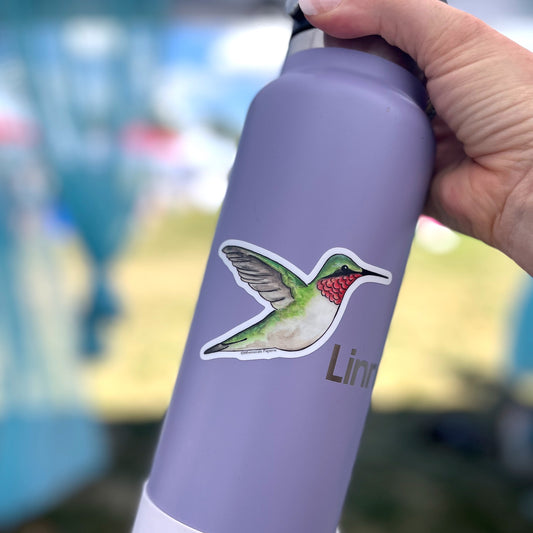 Hummingbird Vinyl Sticker