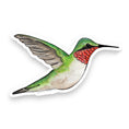 Load image into Gallery viewer, Hummingbird Vinyl Sticker
