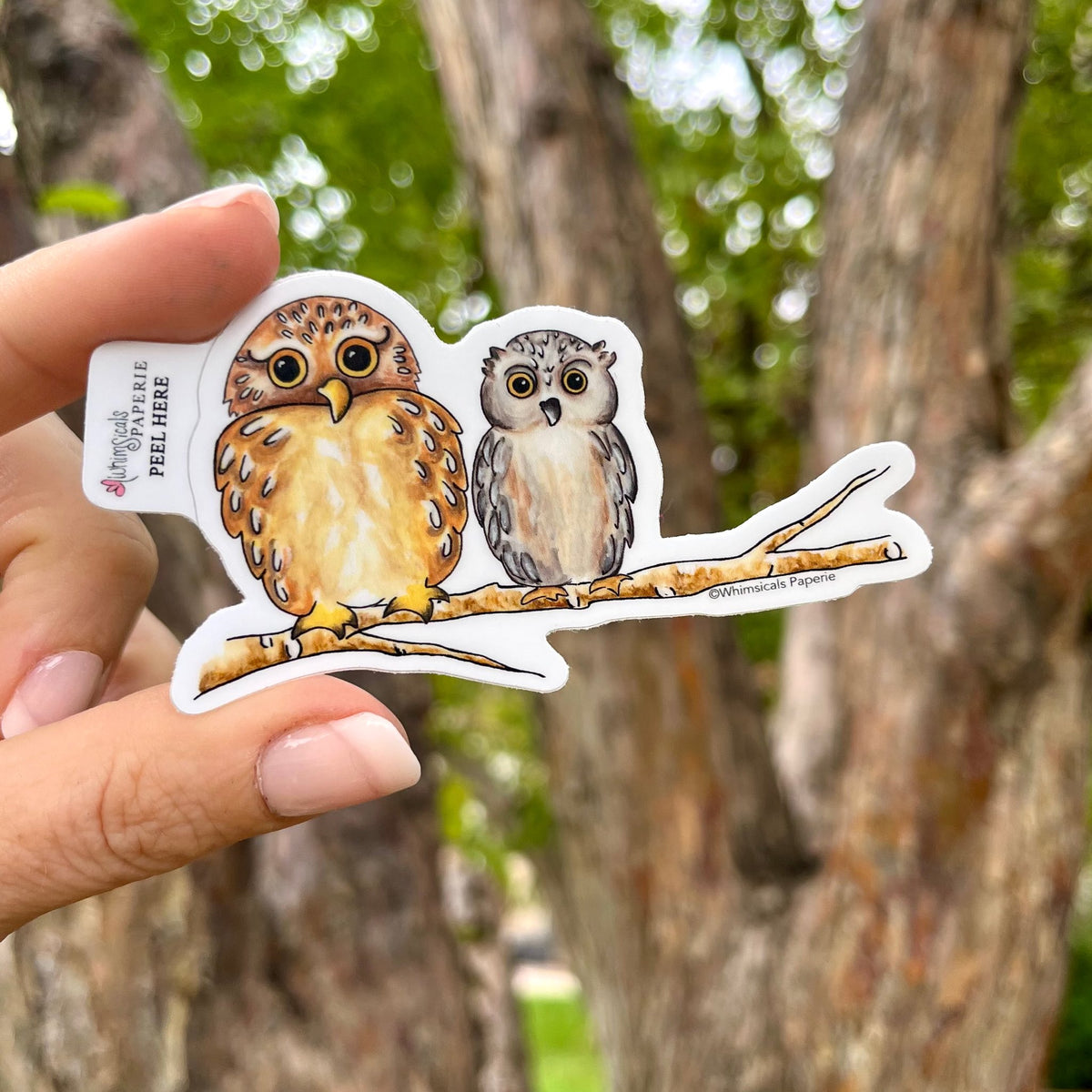Owls Vinyl Sticker