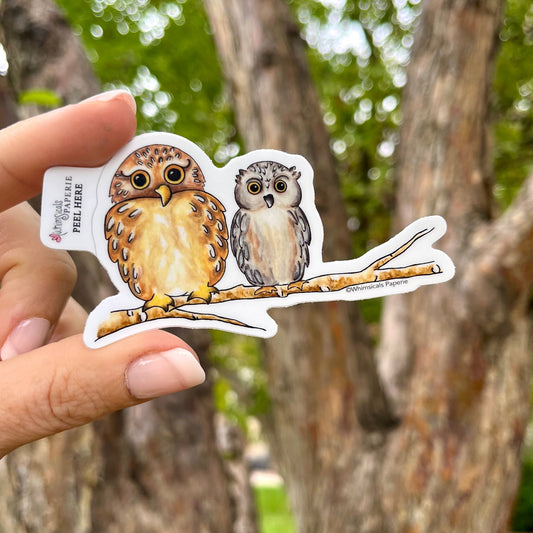 Owls Vinyl Sticker