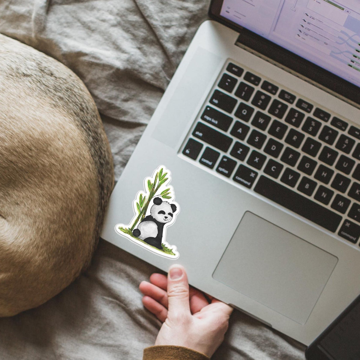 Bundle of 10 Vinyl Stickers