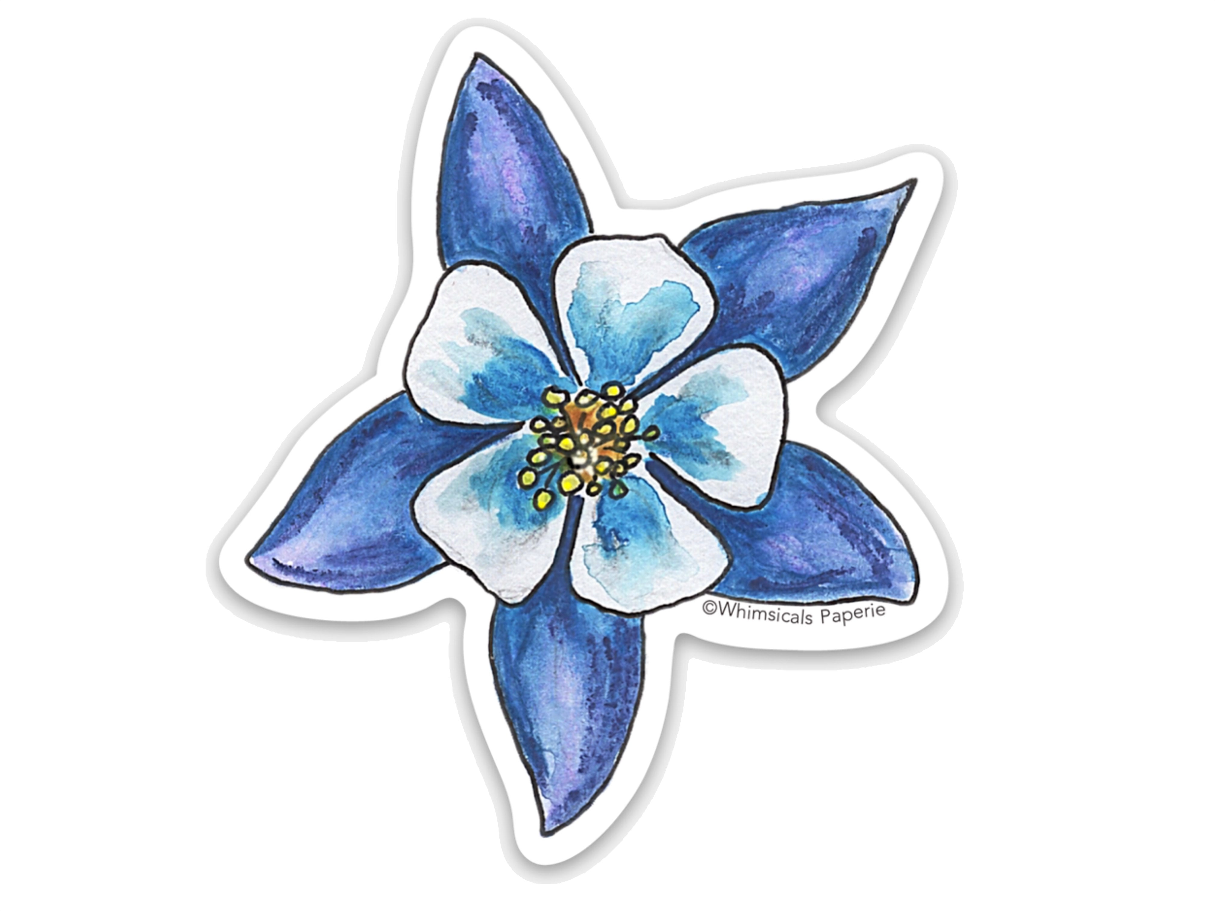 Blue Columbine Flower
