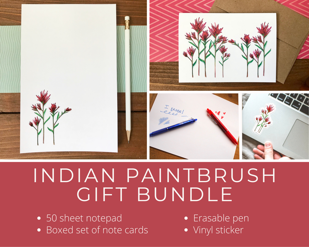 Indian Paintbrush Flower Stationery Set Gift Bundle