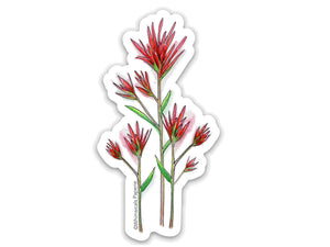 Indian Paintbrush Flower Stationery Set Gift Bundle