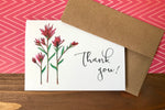 Indian Paintbrush Cards, Choose Your Message - Boxed Set of 8