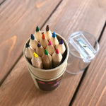 Mini Colored Pencil Kit - Set of 12 with Storage Tube and Sharpener